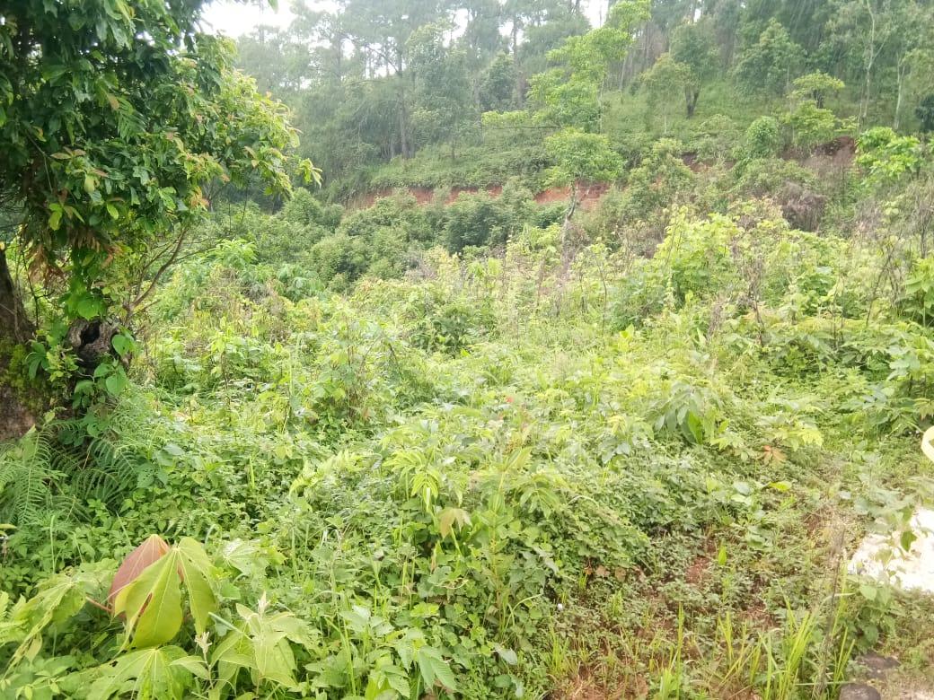 C:\Users\Lavinia Pde\Downloads\WhatsApp Image 2023-02-02 at 10.17.03 (2).jpeg